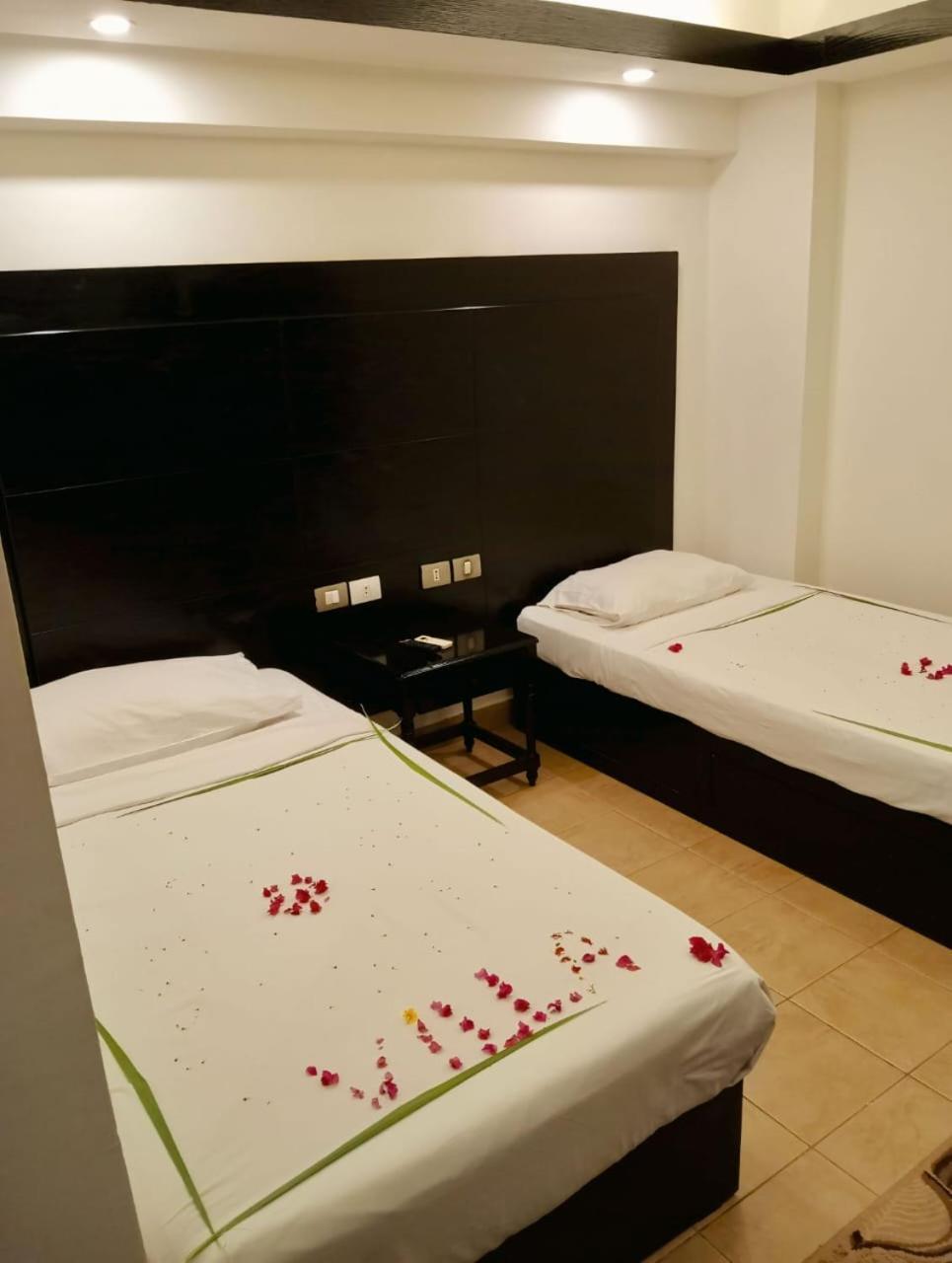 Apartment Silia